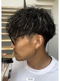 ツイスパシルバーメッシュ