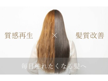 イーケー(ek)の写真