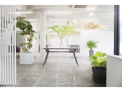 カシュカシュ(Cache,cache)の写真