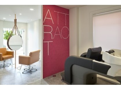 アトラクト(ATTRACT)の写真