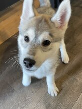 アヴィスヘアワークス(Avis Hair Works)&nbsp;アヴィ 社長