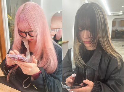 シラフ(SHIRAF)の写真