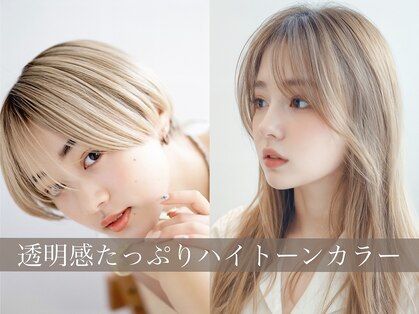ブルー(BLUE)の写真