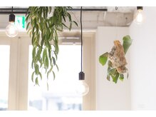 ボサコ(bosaco)の雰囲気（路面店で開放感も抜群です！[船橋]）