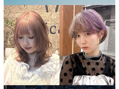 シカ(sica)の写真