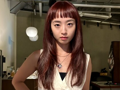 シロ(Shiro)の写真