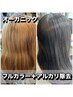 11.上質オーガニック全体カラー＋アルカリ除去　5930円→5790円