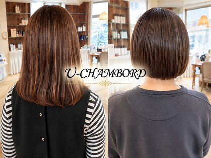 ユーシャンボール(U-CHAMBORD)の写真