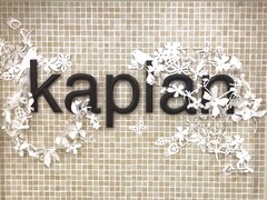 kaplan