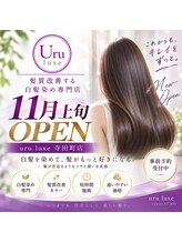 uru　髪質改善する白髪染め専門店　寺田町店【ウル】【11月上旬OPEN（予定）】&nbsp;白髪染め 髪質改善