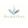 アカンサス 高槻(acanthus)のお店ロゴ