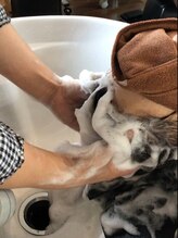 ツインズ アクトスリー 高木瀬店(ツインズ ACTスリー)