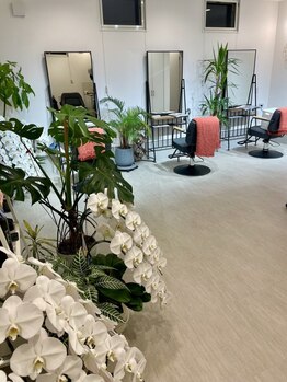 佐野エリアで人気のトータルビューティーサロン≪LUNA≫が待望の移転リニューアルOPEN☆【佐野】