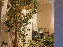 TSUMUGUの雰囲気（店内にはグリーンもたくさん【宮崎台】）