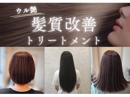 セン(SEN)の写真