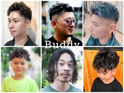 バディ(Buddy)の写真
