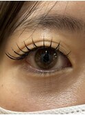 最高級セーブル120本