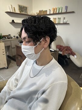 シラス(SiLasu) ツイスパ7:3パート