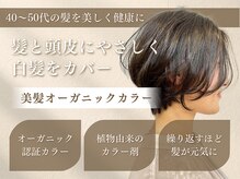 プレヴィア(PREVIA)