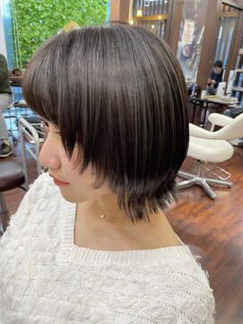 ゴシップ(gossip) ミディアムウルフ