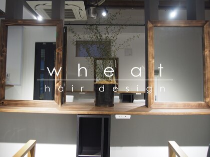 ウィート(wheat)の写真