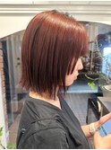 【白石】姫カット/ぱつっとボブ/顎下ボブ/暖色カラー