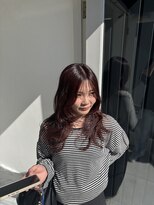 ノヴァ(NOVA) ハッシュレイヤー