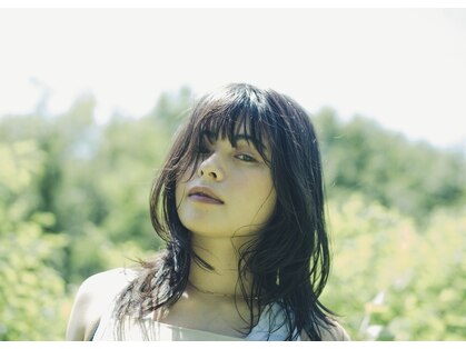 シー(si)の写真