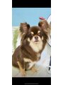 メンズ ウィル バイ スヴェンソン 沼津スタジオ(MEN'S WILL by SVENSON)&nbsp;愛犬です。