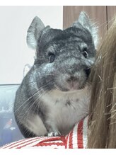 エミリカ(Emirika) TOMO