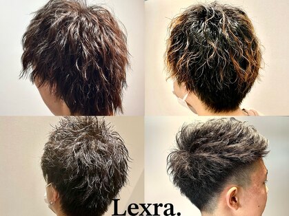 レグラ(Lexra.)の写真