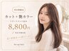 【7/3限定・当日予約OK】カット＋艶カラー＋トリートメント　8,800円