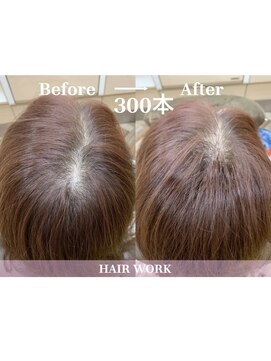 ヘアーワーク(HAIR WORK) 増毛エクステ300本コース／極小結び目