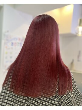 チェリーレッド/バーガンディ/全頭ブリーチ