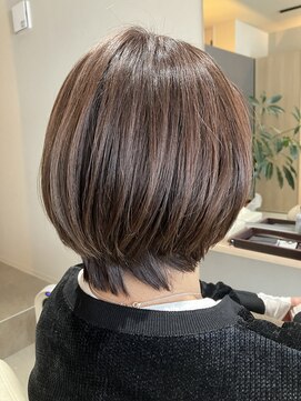 本と南風 guest design