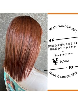 アイリス(IRIS) 【オレンジブラウン】