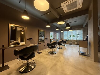 エニー(ANY)の写真