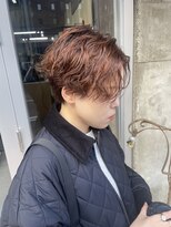 蜃気楼&nbsp;（（蜃気楼））short wave