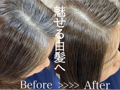 アルビス(arbis)の写真