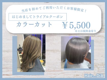 ヘアーディア(Hair...DiA)の写真