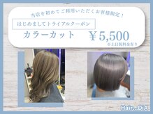 ヘアーディア(Hair...DiA)