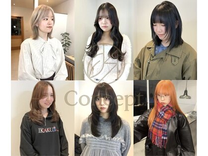 コンセプト(Concept)の写真