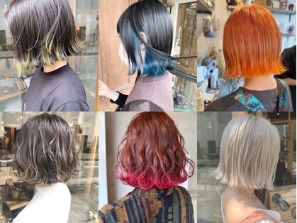 コキャン(COQUIN)の写真