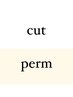 カット+特殊パーマ