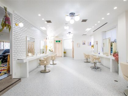 ロマーリ(LOMARLIE)の写真