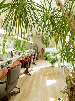 完全マンツーマンプライベートサロン◆厳選サロンしか取扱えない【M3D】の認定講師が必ず施術☆