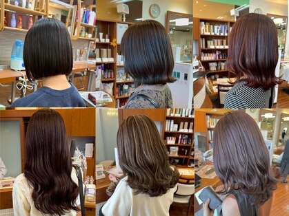 モリワキ 藤が尾店の写真