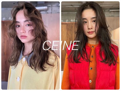 セーヌ(CEINE)の写真