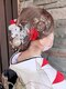 エフプロモーションフローラ(FLORA)の写真/大事なイベント～普段のデートまで幅広く対応◎プロの技術で華やかな日を演出！【アップスタイル¥4950～】