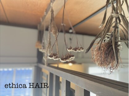 エチカ(ethica)の写真